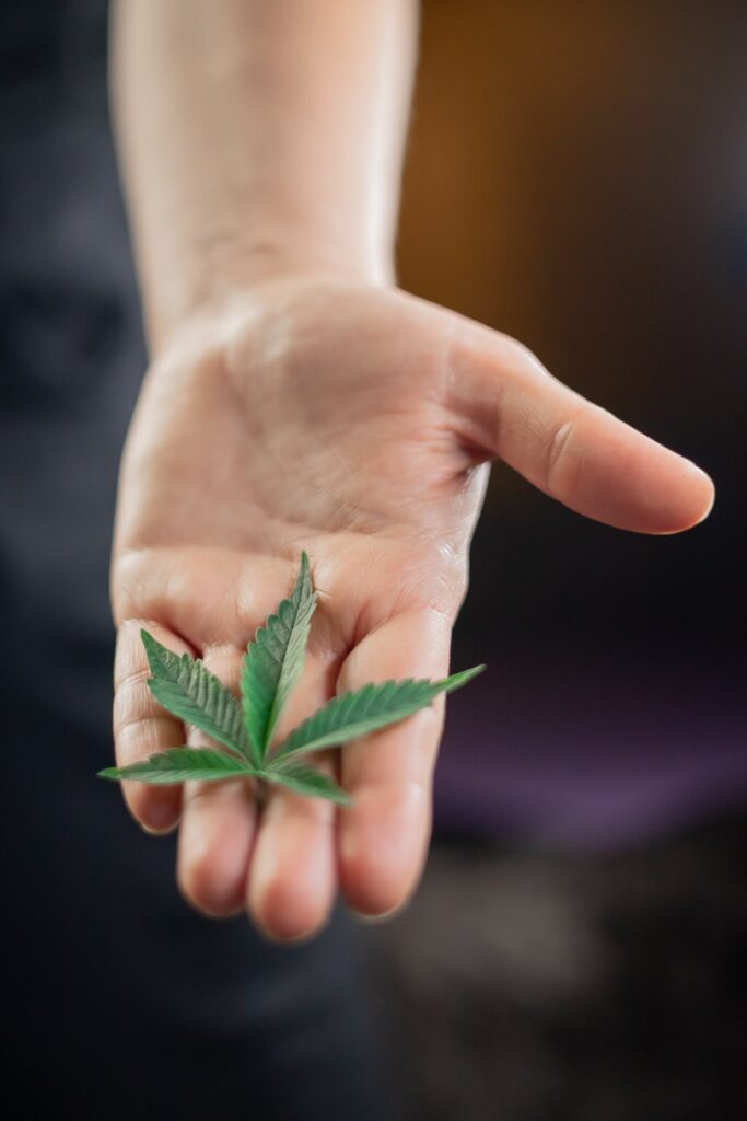 Cannabis Stocks: Analyzing the Legalization Impact.