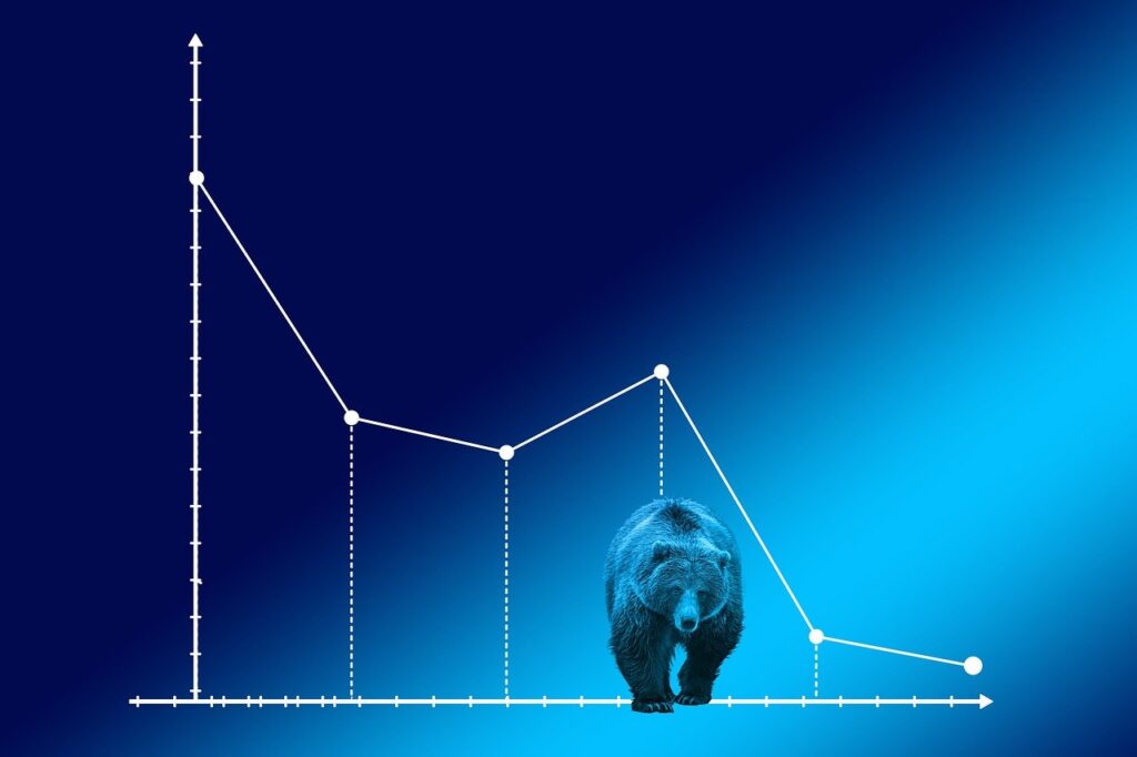 Strategies for Investing in a Bear Market: Preserving Capital in a Downturn.